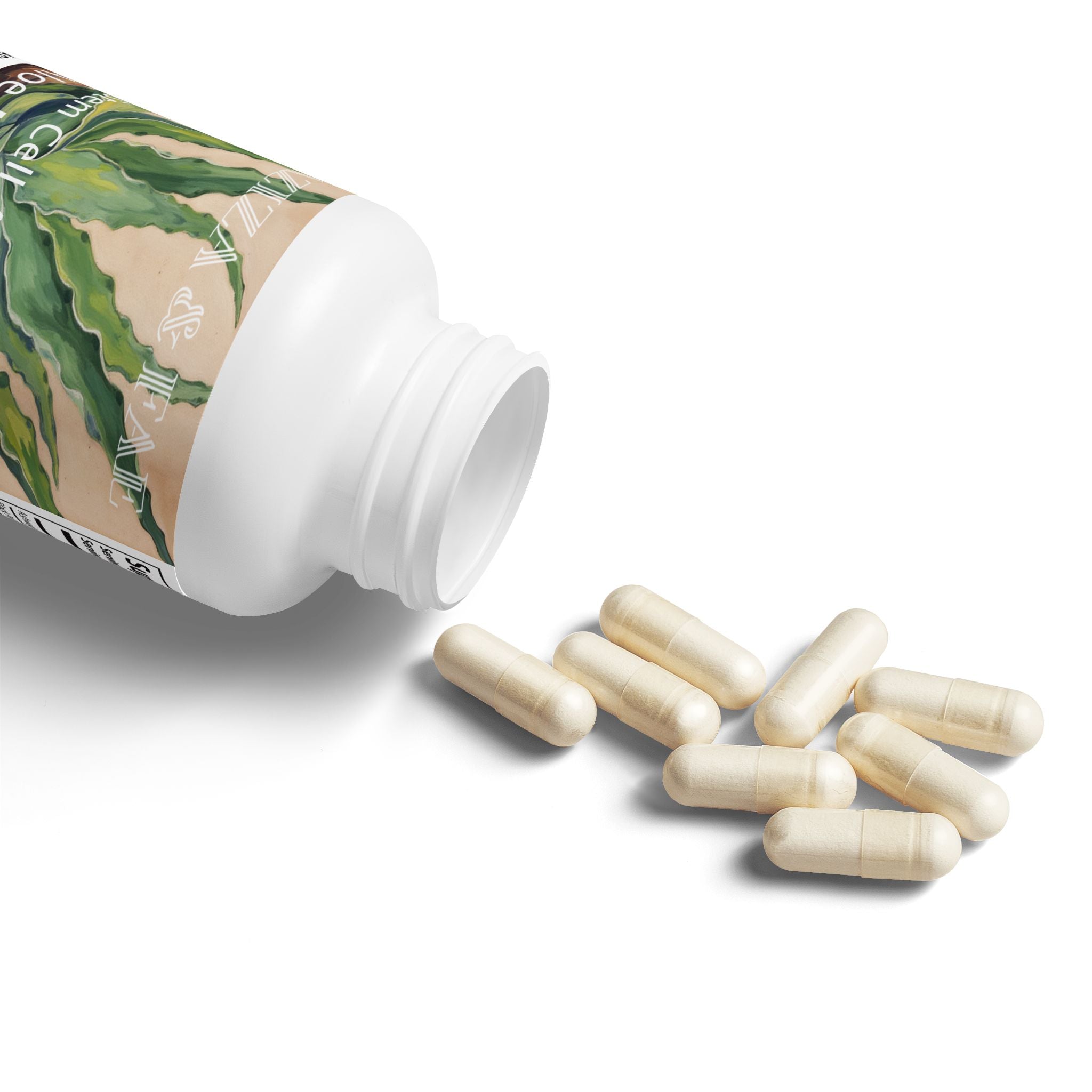 Aloe Macroclada Stem Cell Activation Capsules and Powder 2