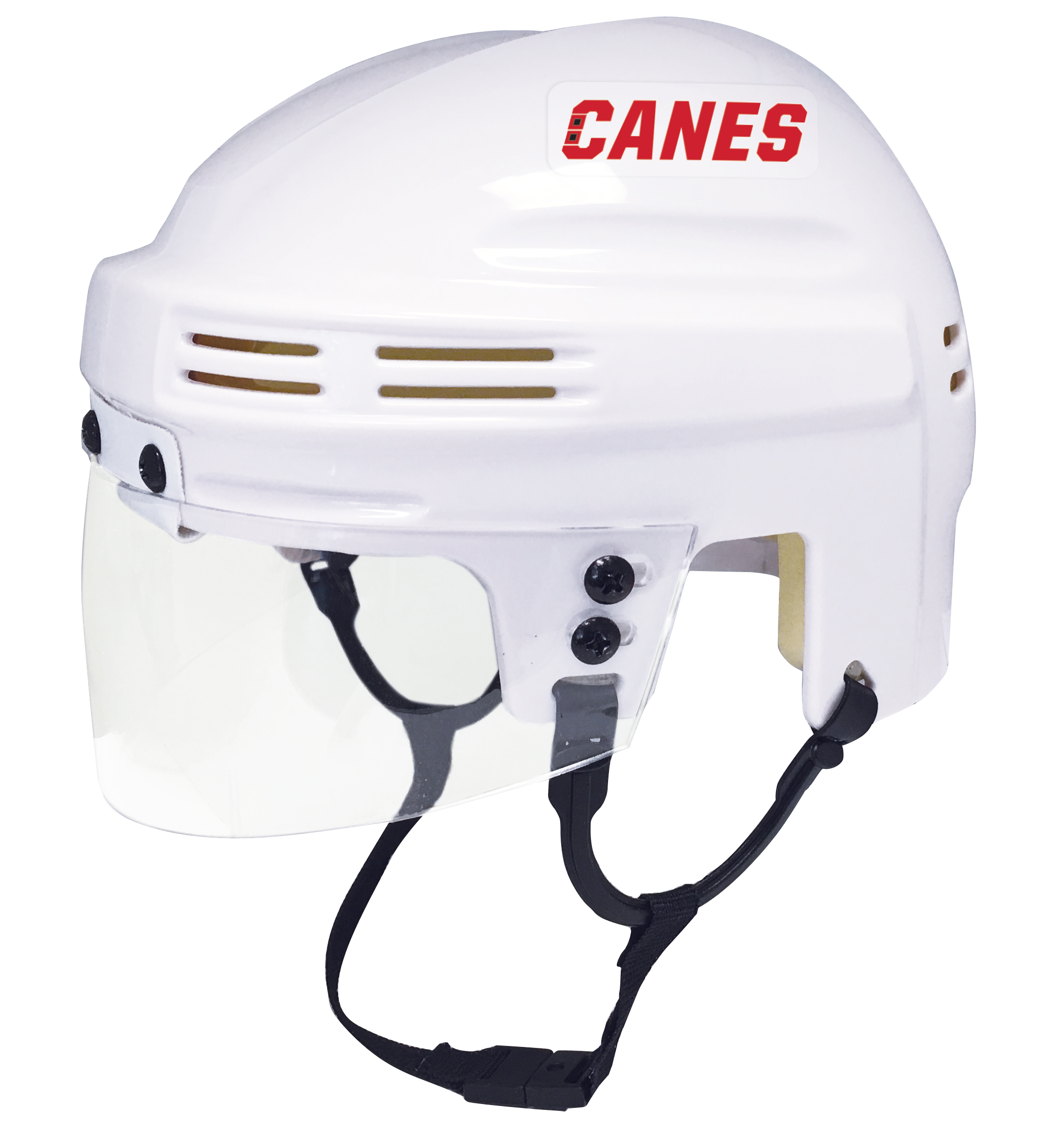 Carolina Hurricanes - NHL Collectible Mini Helmet - Picture Inside - FANZ Collectibles