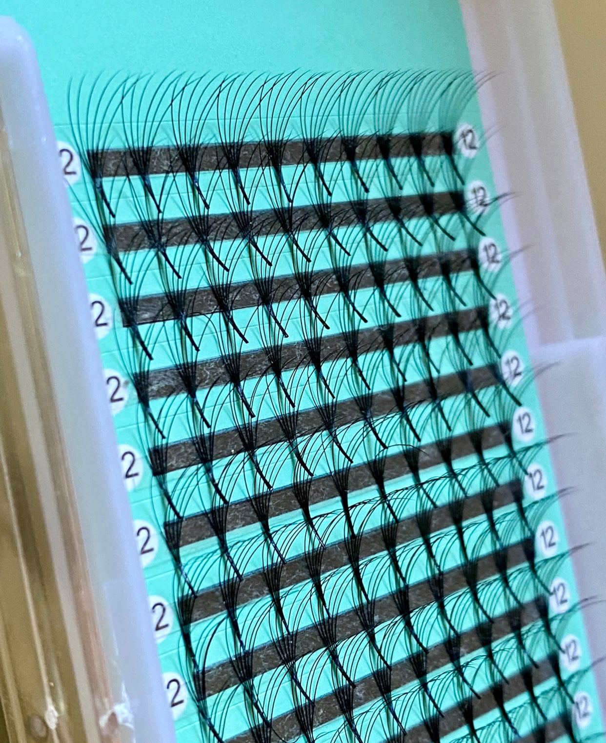 6D - 0.07mm Slim/Pointy Root Medium Stem Premade Fans 16 lines NO-Logo 160 fans 【Sale】