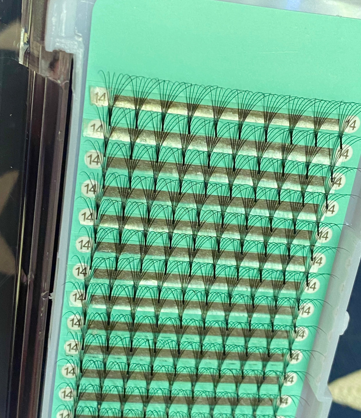 7D - 0.07mm Slim/Pointy Root Medium Stem Premade Fans 16 lines NO-Logo 160 fans【Sale】