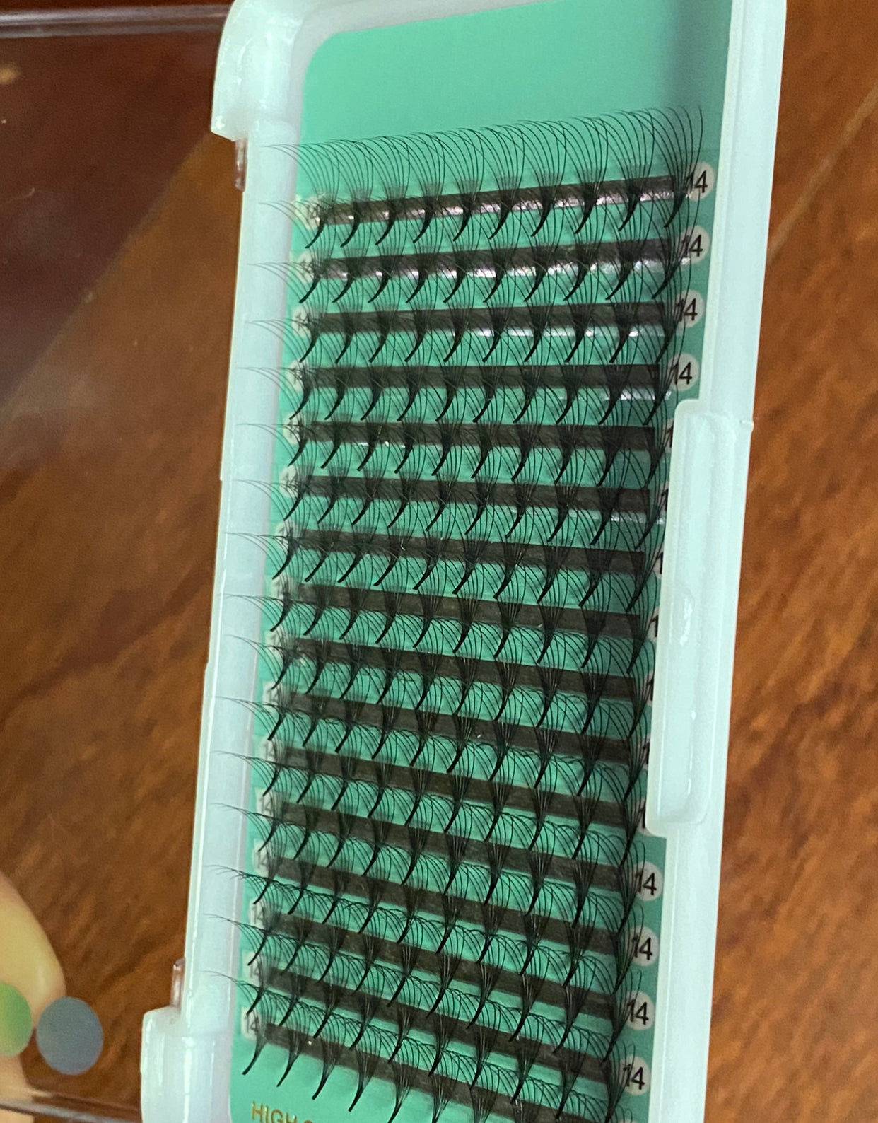 6D - 0.07mm Slim/Pointy Root Medium Stem Premade Fans 16 lines NO-Logo 160 fans 【Sale】