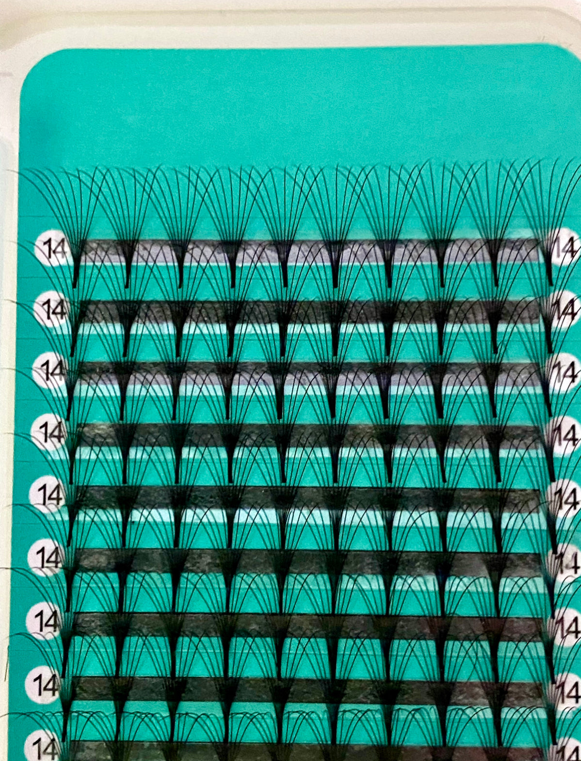 8D - 0.07mm Slim/Pointy Root Medium Stem Premade Fans 16 lines 160 fans NO-Logo【Sale】