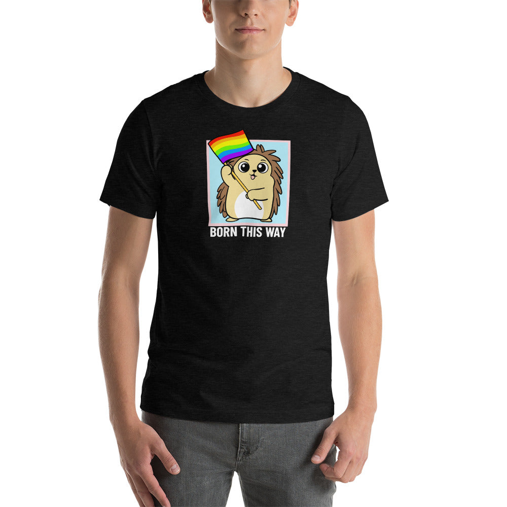 Born This Way LGBT Pride Cartoon Porcupine Short-Sleeve Unisex T-Shirt